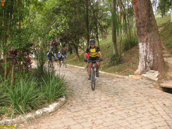 Click for larger image.