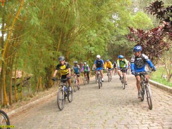 Click for larger image.