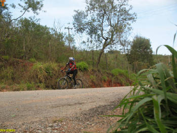 Click for larger image.