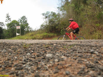 Click for larger image.