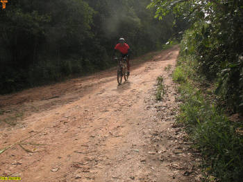 Click for larger image.