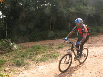 Click for larger image.