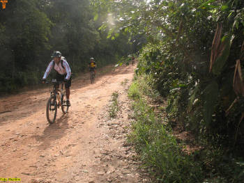 Click for larger image.