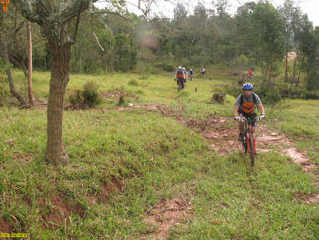 Click for larger image.