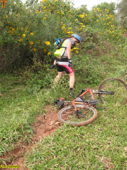 Click for larger image.