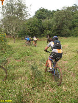 Click for larger image.