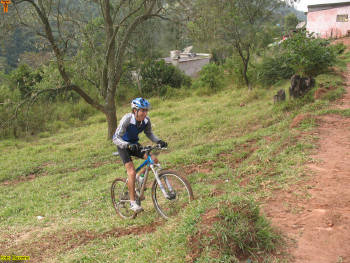 Click for larger image.