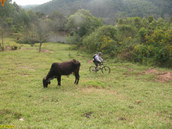 Click for larger image.