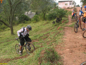 Click for larger image.