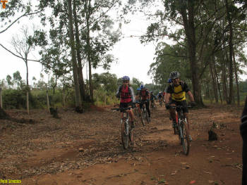 Click for larger image.