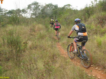 Click for larger image.