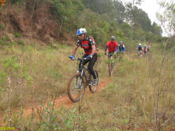 Click for larger image.