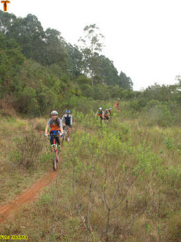 Click for larger image.