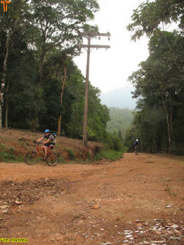 Click for larger image.