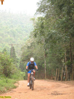 Click for larger image.