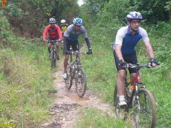 Click for larger image.