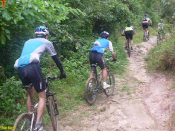 Click for larger image.