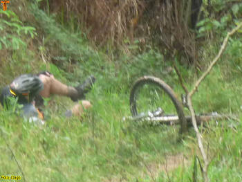 Click for larger image.