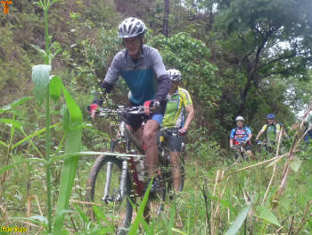 Click for larger image.