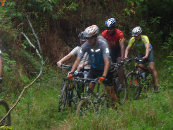 Click for larger image.