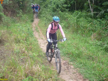 Click for larger image.