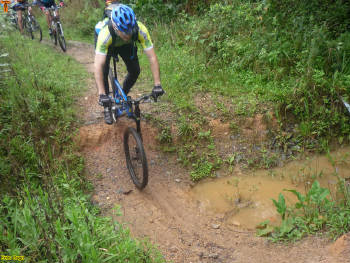 Click for larger image.