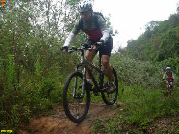 Click for larger image.