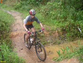 Click for larger image.