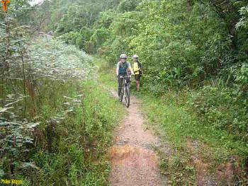 Click for larger image.