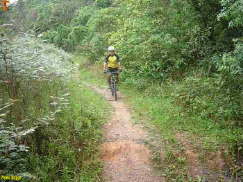 Click for larger image.