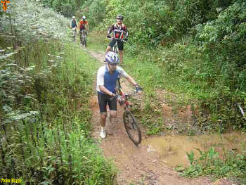 Click for larger image.