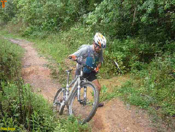 Click for larger image.