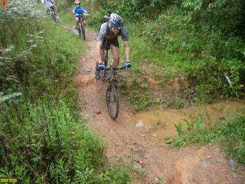 Click for larger image.