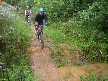 Click for larger image.