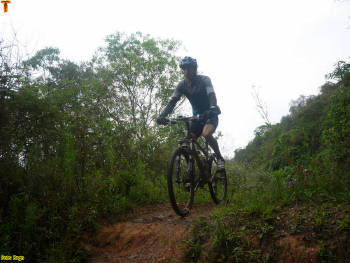 Click for larger image.