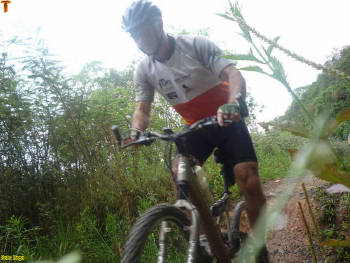 Click for larger image.