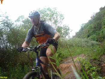 Click for larger image.