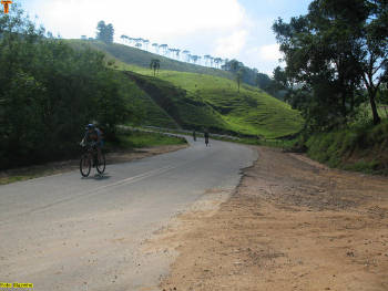 Click for larger image.