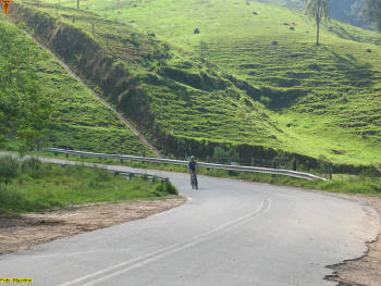 Click for larger image.