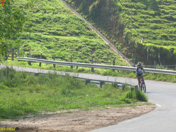 Click for larger image.