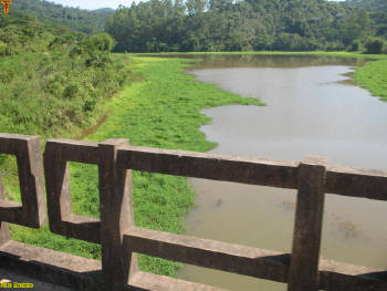 Click for larger image.