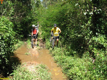 Click for larger image.