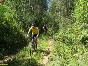 Click for larger image.