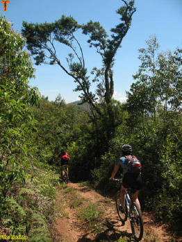 Click for larger image.