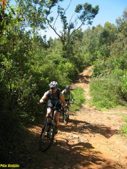 Click for larger image.