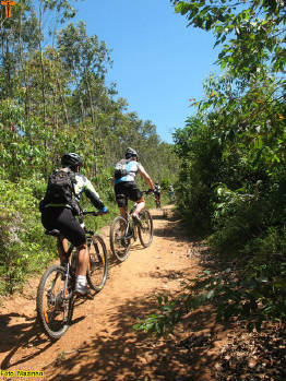 Click for larger image.