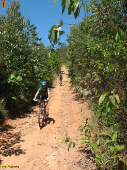 Click for larger image.