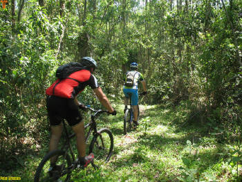 Click for larger image.