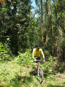 Click for larger image.