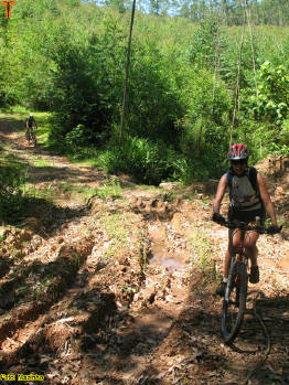 Click for larger image.